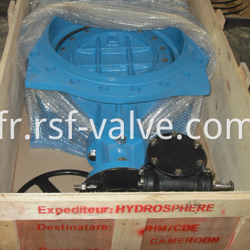Double Eccentric Flange Butterfly Valve 2